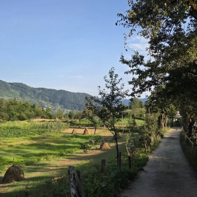 გურული ველო დღეები 4