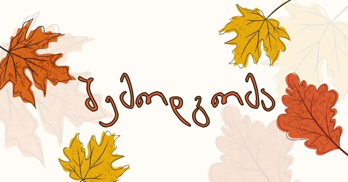 შემოდგომა ველოზე უნდა გაატარო 💥