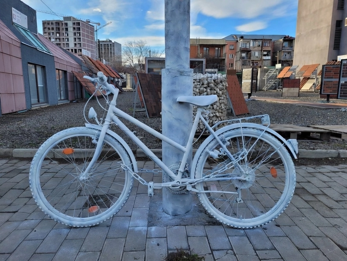 წლის პირველი ველო მსვლელობა