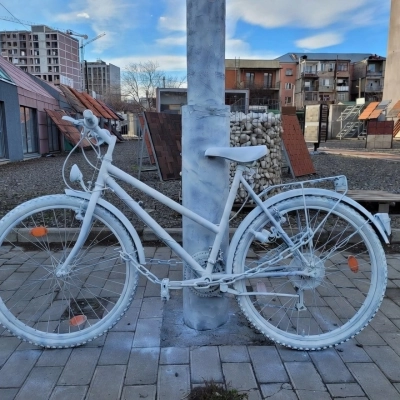 წლის პირველი ველო მსვლელობა